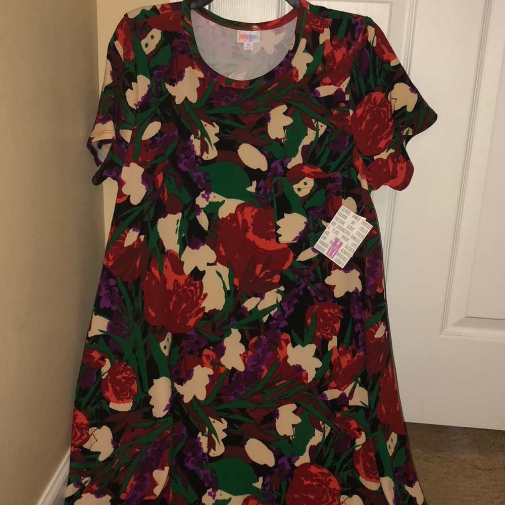 Lularoe NWT Carly Dress